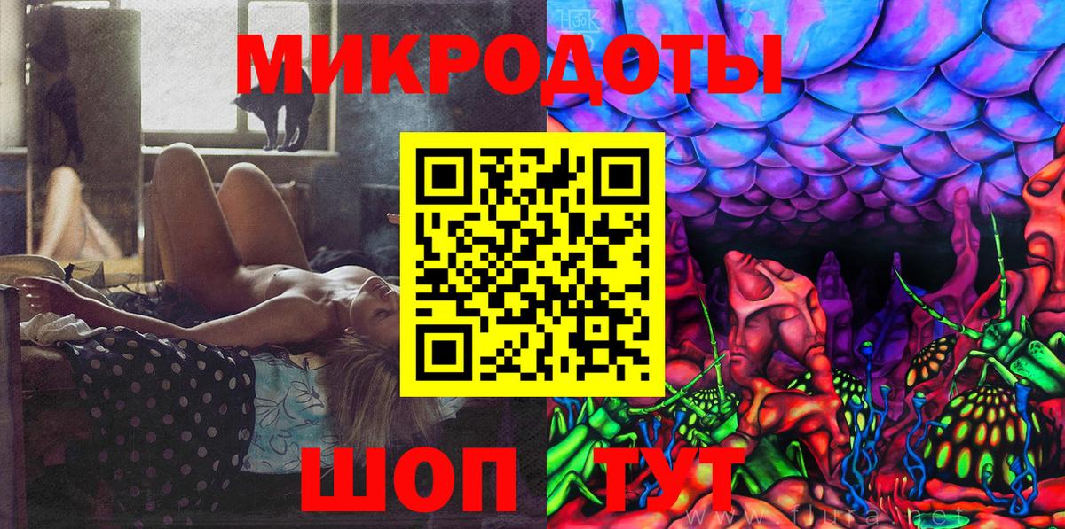 Псилоцибиновые грибы Psilocybe Шебекино