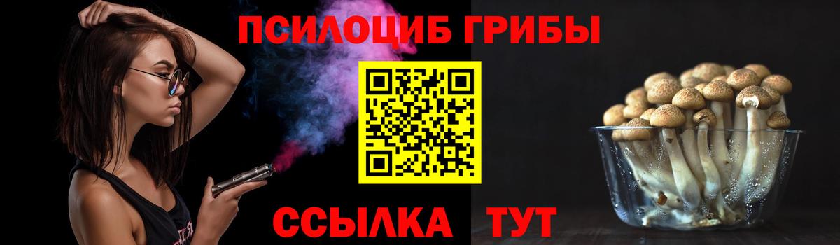 Псилоцибиновые грибы мухоморы  Вход с VPN  купить наркотики цена  Шебекино 